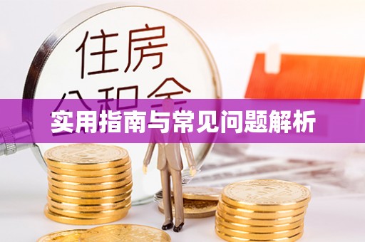 城厢实用指南与常见问题解析