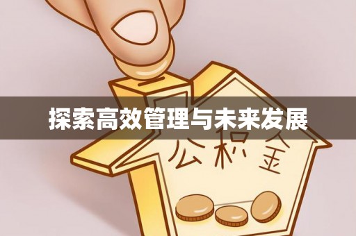 城厢探索高效管理与未来发展