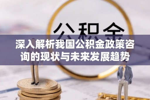 城厢深入解析我国公积金政策咨询的现状与未来发展趋势