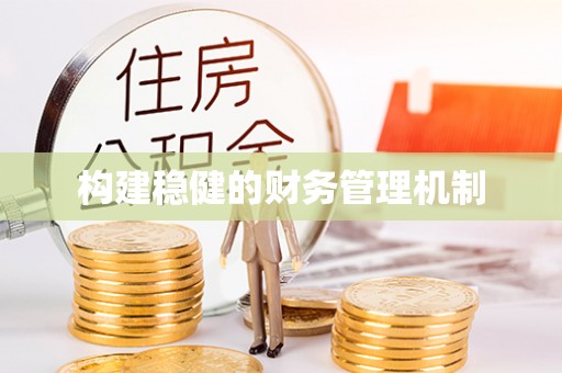 城厢构建稳健的财务管理机制